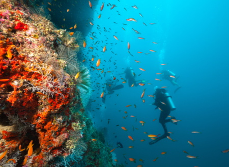 scuba Diving in Dubai