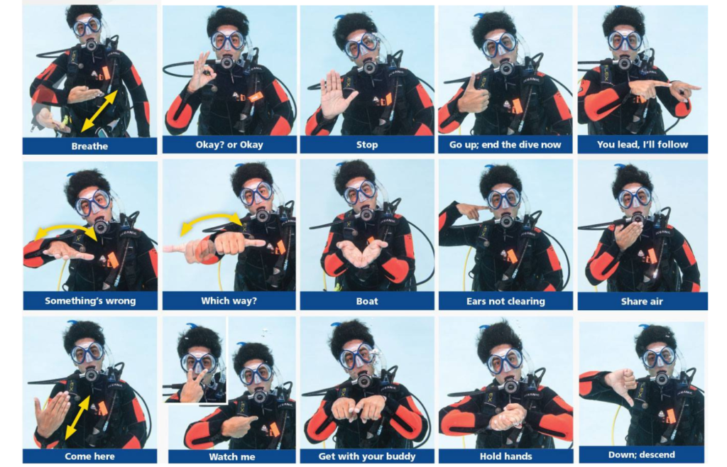 Essential Scuba Diving 