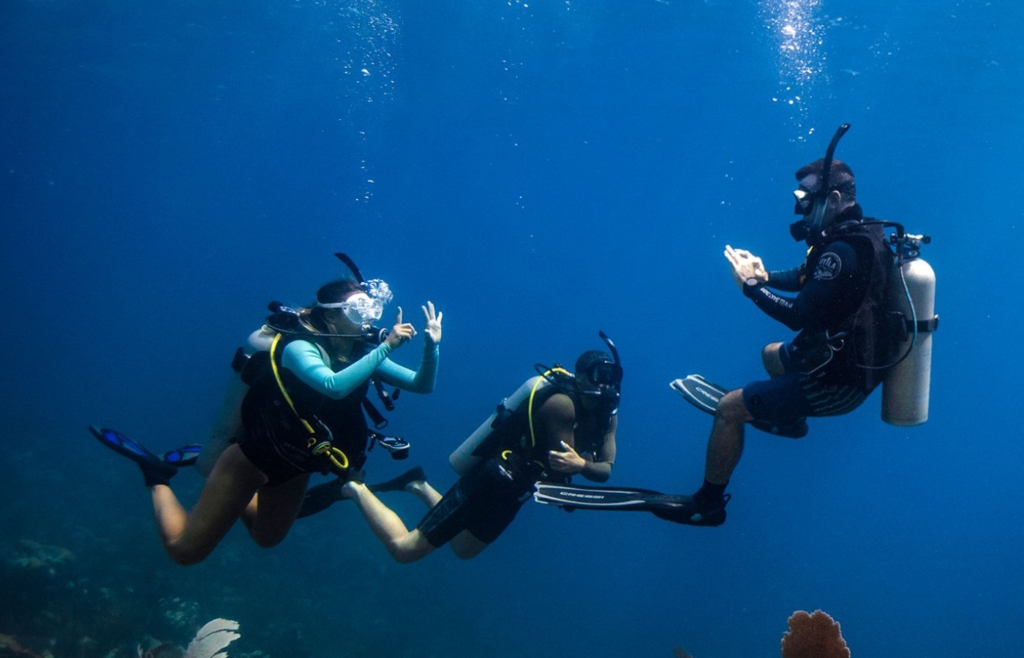 PADI Open Water Course: PADI Mini Dive