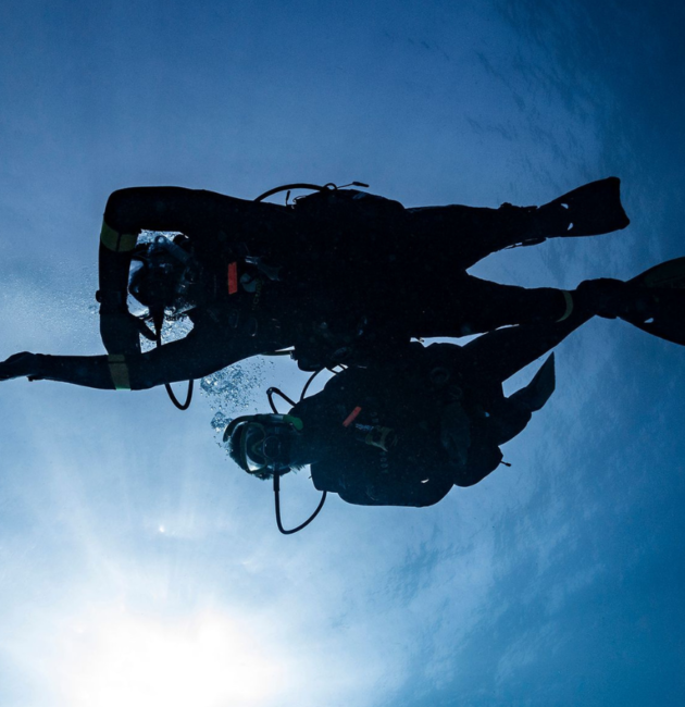 PADI Open Water Course: Your 4-Day Journey Explained