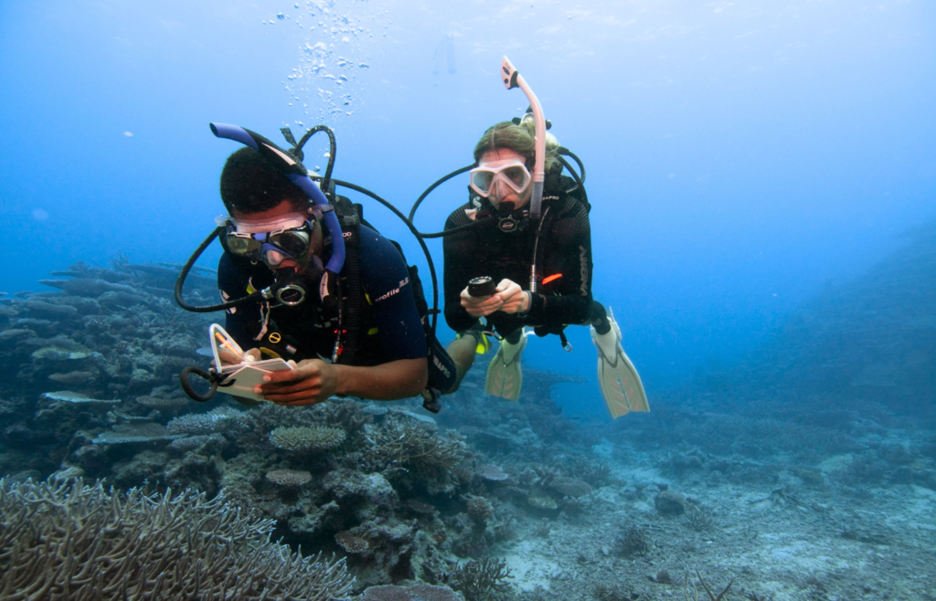 PADI Open Water Underwater Navigation Skills