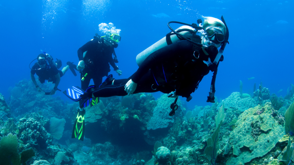 Clean waters with amazing visibility at a dive site near Dubai Shore.